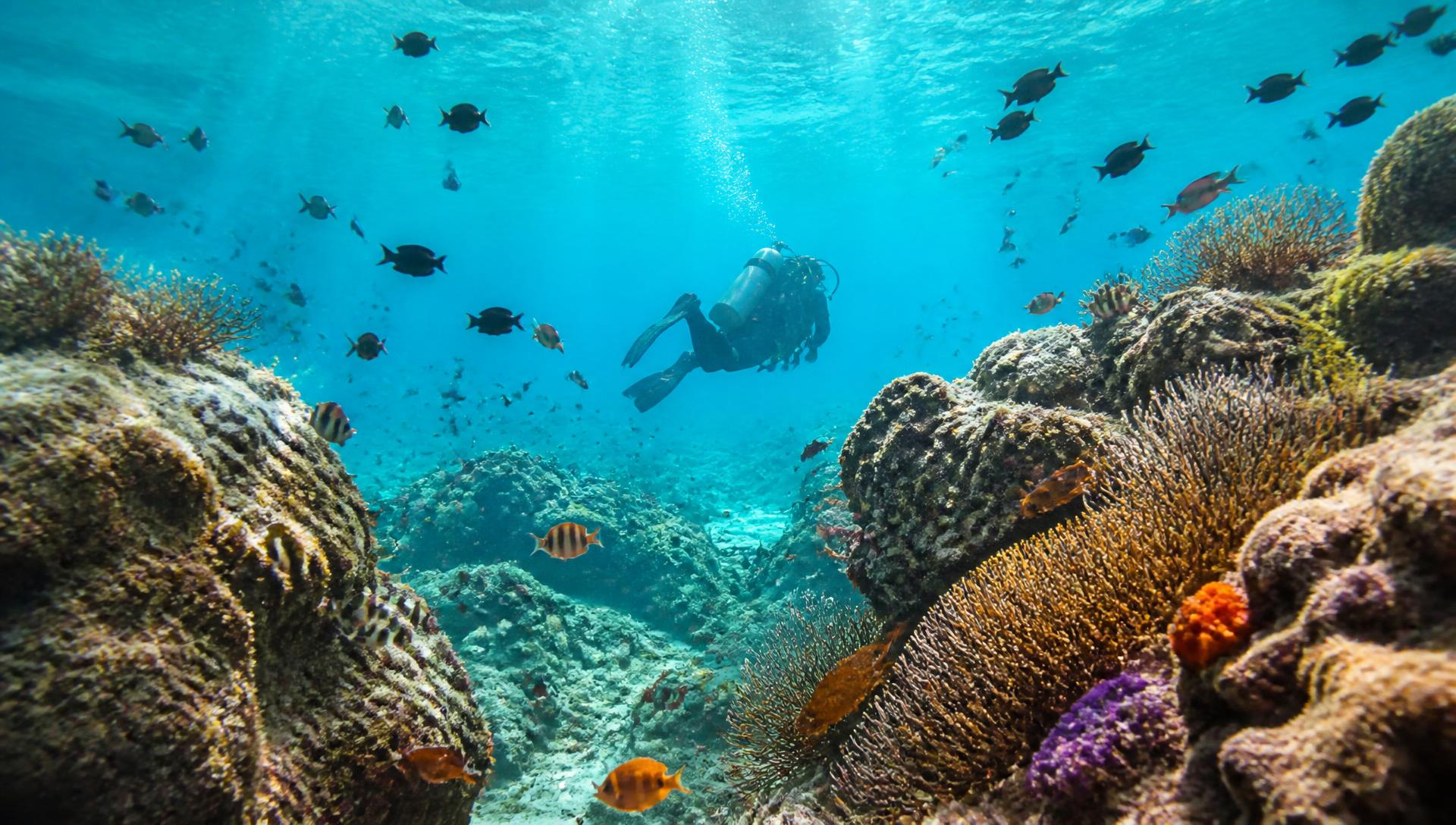 Agadir Scuba Diving Experience